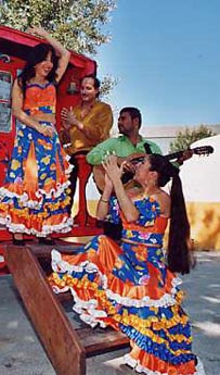 zigeuners feest muziekanten